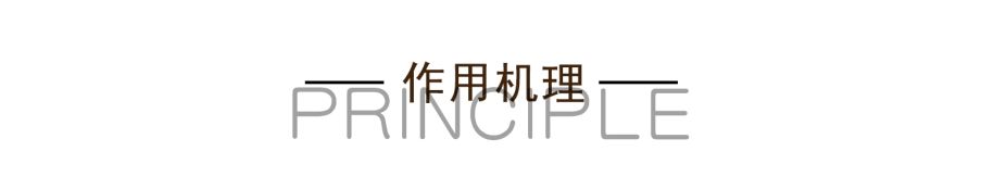 07A-2.1网站详情页.jpg